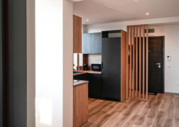 за гости танчеви * Карлово